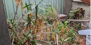 賴氏拆除豐原地坪拆除示意圖